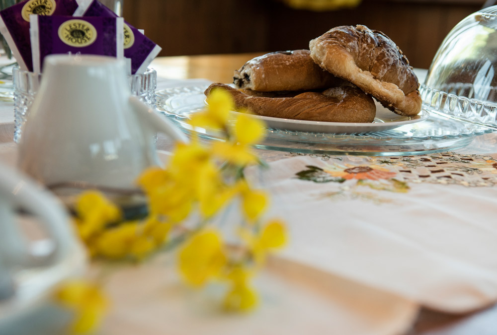 B&B Le cinque querce